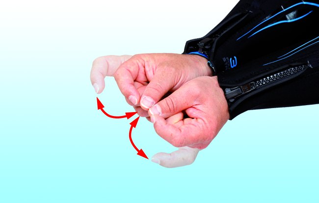 Garnele, Krebs - Handzeichen 1
Die Daumen beider Hände an den Seiten zusammenlegen und die Zeigefingerspitzen beider Händen wiederholt von den Daumenspitzen zur Seite hin bewegen.