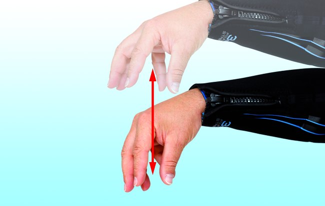 Oktopus
In einer fließenden Auf- und Abwärtsbewegung die Fingerspitzen der Hand zusammen- und wieder auseinanderführen und damit die Schwimmbewegung eines Tintenfisches nachahmen.