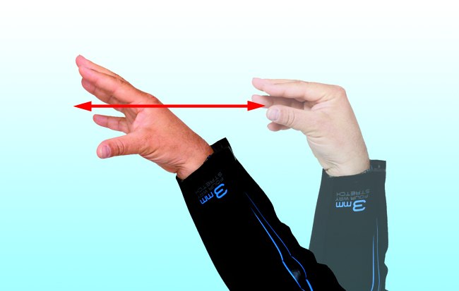 Qualle
In einer fließenden Seitwärtsbewegung die Fingerspitzen der Hand zusammen- und wieder auseinanderführen und damit die Schwimmbewegung einer Qualle nachahmen.